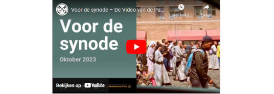 De video van de Paus; Voor de synode