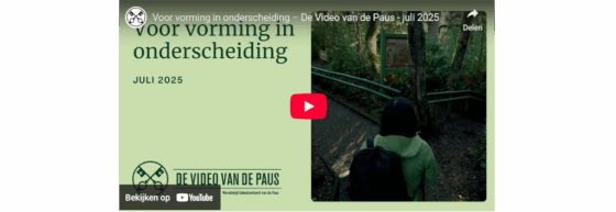Video van de Paus; Voor vorming in onderscheiding