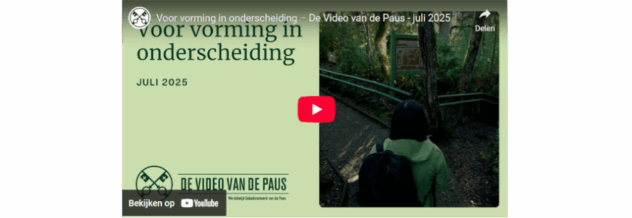 Video van de Paus; Voor vorming in onderscheiding