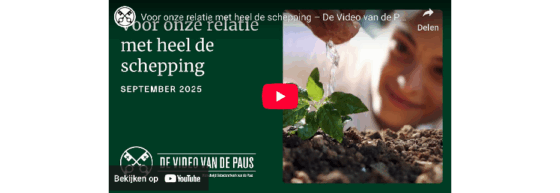 Video van de Paus: voor onze relatie met heel de schepping